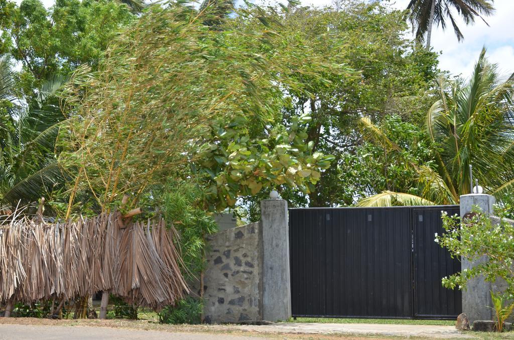 Yaye Guest House Tissamaharama Eksteriør billede